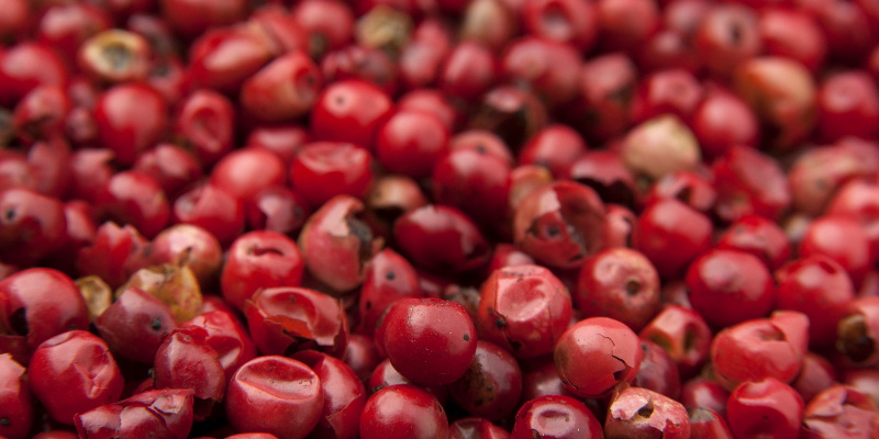 Goji berries are high in high anti-oxidants