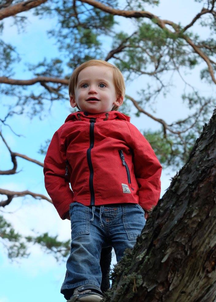 Arian up a tree whilst in Sweden recently